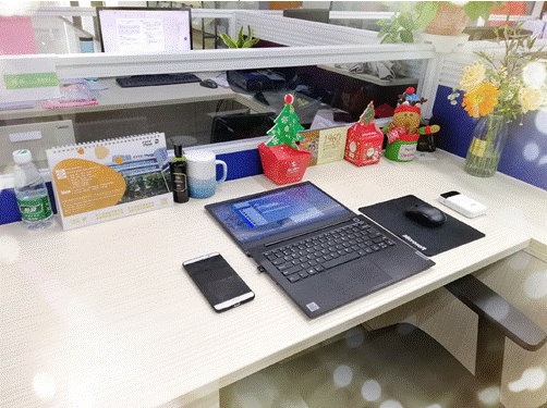 clip_image016.gif IMG_263